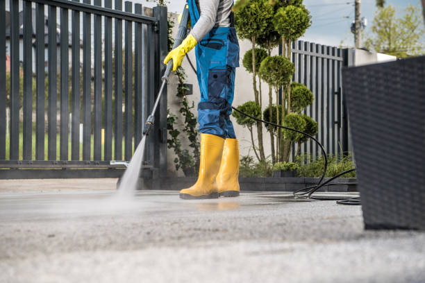 Best Building Exterior Washing  in Wildwood, TN